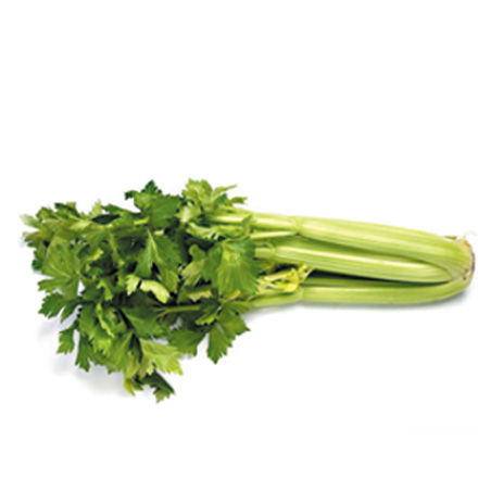 產品中心標題一