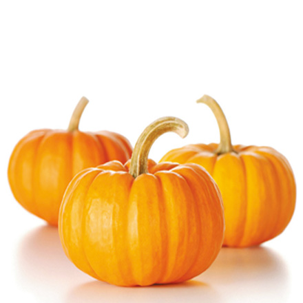 產品中心標題五