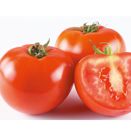 產品中心標題五