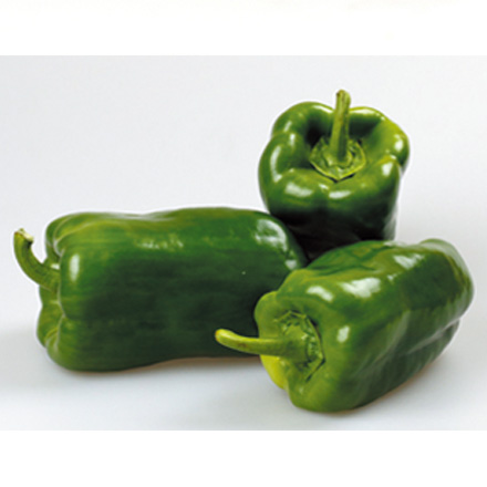 產品中心標題六