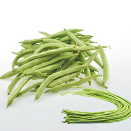 產品中心標題七