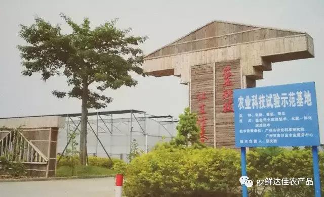 南沙農業生產国产蜜桃一区二区三区高潮