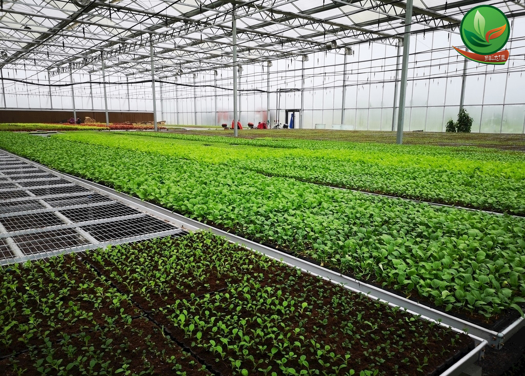 英德農業国产蜜桃一区二区三区高潮